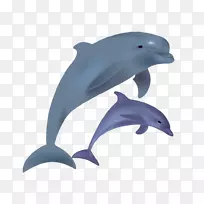 宽吻海豚剪贴画-卡通海豚跳跃