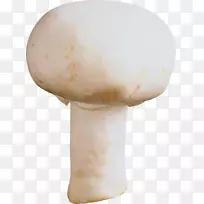 蘑菇节面食-蘑菇图片