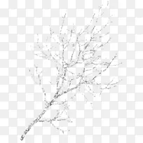 雪冬对称线艺术图案.雪覆盖的树枝