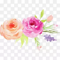 花卉水彩画花园玫瑰.手绘水彩画玫瑰装饰元素