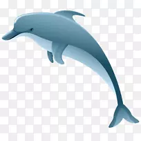 海豚剪贴画-海豚PNG剪贴画图片