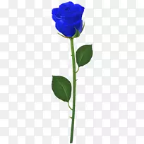 花园玫瑰蓝玫瑰剪贴画-玫瑰与茎蓝色PNG剪贴画