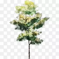树水彩画建筑素描-树