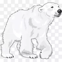 北极熊可爱-北极熊PNG