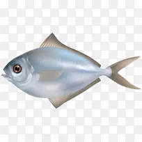 鱼为食钓鱼夹艺术-鱼PNG