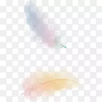 浮动羽毛飞行鸟-羽毛PNG