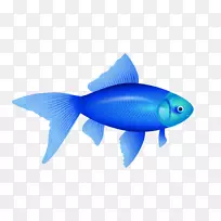 鱼类剪贴画-蓝鱼PNG图像