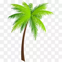 棕榈树亚洲棕榈剪贴画-棕榈剪贴画