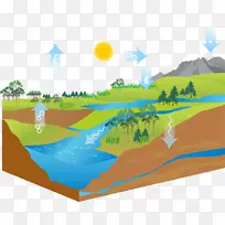 水循环库图.空气循环生态系统
