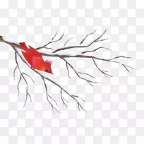 树枝冬季剪贴画-冬季树枝与鸟PNG剪贴画