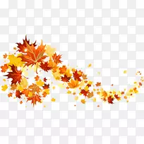 秋叶彩色剪贴画-秋叶透明图片
