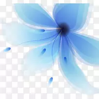 浅蓝花-大的蓝色花