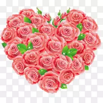 花园玫瑰、蜈蚣玫瑰、花卉图案、粉色切花-红玫瑰心梗