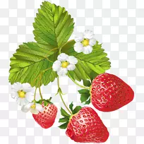 草莓果蒂博斯科剪贴画-开花草莓PNG剪贴画图片