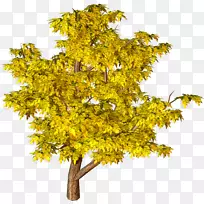 树木黄色剪贴画-黄色秋天树PNG剪贴画
