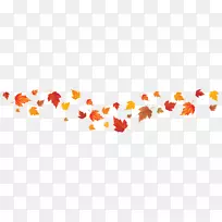 秋叶颜色红色枫叶-落叶PNG图像