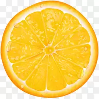 柠檬橙片剪贴画-橙色片透明PNG剪贴画