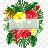 下载惠普企业-美丽的花卉装饰框架