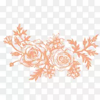 花卉绘制.精细单色手绘花卉材料