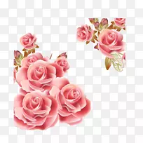 玫瑰花粉色剪贴画-玫瑰背景