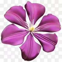 紫花-紫花透明PNG剪贴画图像