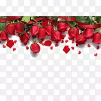 情歌浪漫皇室免费红玫瑰背景