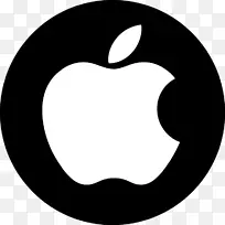 苹果图标信息-苹果标志PNG