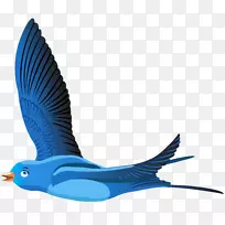 鸟类动画剪贴画-蓝鸟卡通透明剪贴画PNG图像