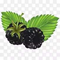 黑莓剪贴画-黑莓png剪贴画