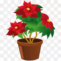 植物缩略图艺术.一品红壶PNG剪贴画