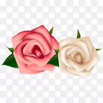 玫瑰白色剪贴画-红白玫瑰剪贴画