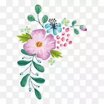 花卉砧木摄影剪贴画精美彩色花卉设计材料