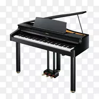 罗兰公司数码钢琴键盘乐器钢琴PNG图像