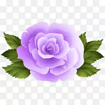 图像文件格式无损压缩-紫色玫瑰剪辑艺术png图像