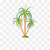 插图-热带植物