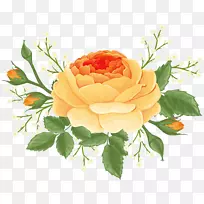 橙色玫瑰配白花PNG剪贴画形象