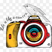 绘画插图.照相机和手绘鸟类
