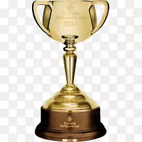 2017年墨尔本杯纯种考菲尔德杯W.S。考克斯牌-金杯PNG