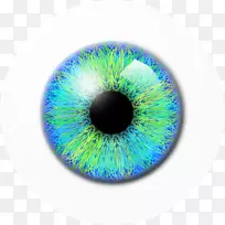 眼瞳孔图标-眼PNG