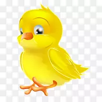 鸡夹艺术-画黄色复活节小鸡PNG剪贴画