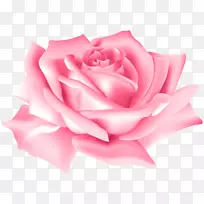 玫瑰花粉红色-粉红色玫瑰花PNG剪贴画图像