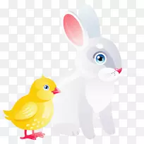 家养兔子复活节兔鸭-复活节鸡和兔子透明PNG剪刀