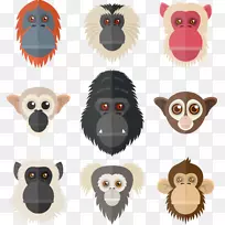 灵长类狐猴猩猩手绘大猩猩动物图片元素