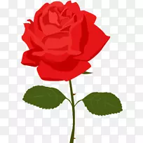 玫瑰花夹艺术-透明红玫瑰PNG图片