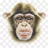黑猩猩猴形图.马赛克猴