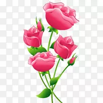 玫瑰粉色剪贴画-粉色玫瑰透明PNG剪贴画图像