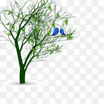 鸟类欧式弹簧树-弹簧树