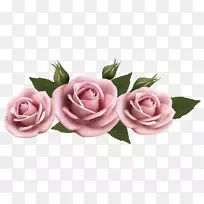 玫瑰花亚马逊网-美丽透明粉色玫瑰PNG图片