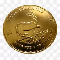 硬币Jamex公司wiki-硬币PNG图像
