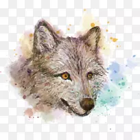 灰狼水彩画红狐画手绘水彩狼